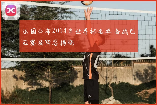 法国公布2014年世界杯名单 备战巴西赛场阵容揭晓