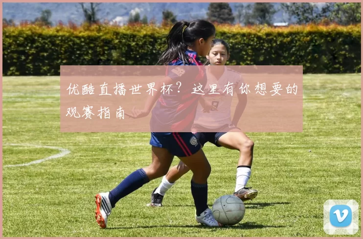 优酷直播世界杯？这里有你想要的观赛指南