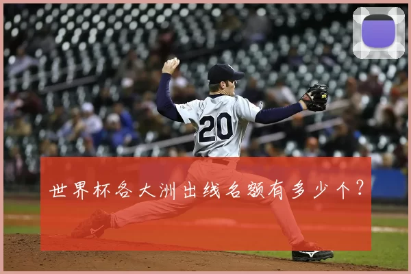 世界杯各大洲出线名额有多少个？