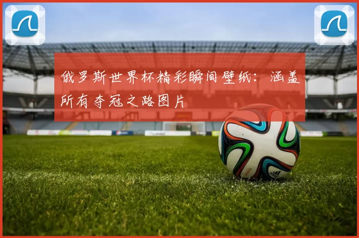 俄罗斯世界杯精彩瞬间壁纸:涵盖所有夺冠之路图片