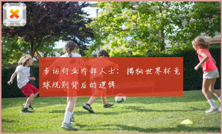 专访行业内部人士:揭秘世界杯竞球规则背后的逻辑