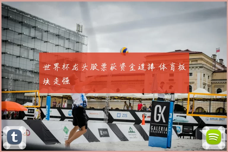 世界杯龙头股票获资金追捧 体育板块走强