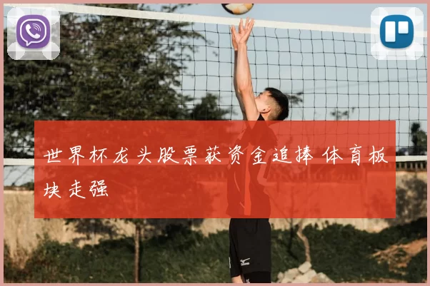 世界杯龙头股票获资金追捧 体育板块走强