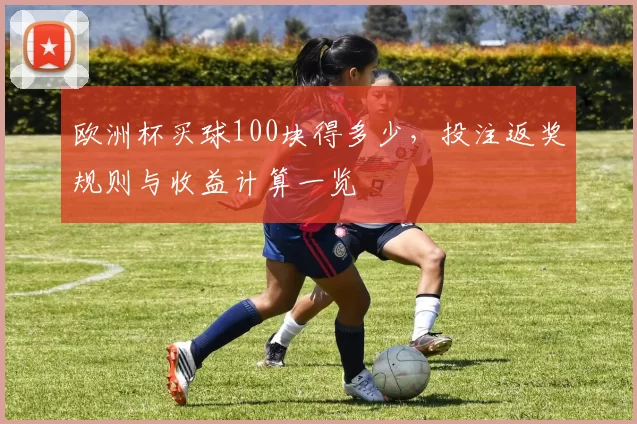 欧洲杯买球100块得多少，投注返奖规则与收益计算一览