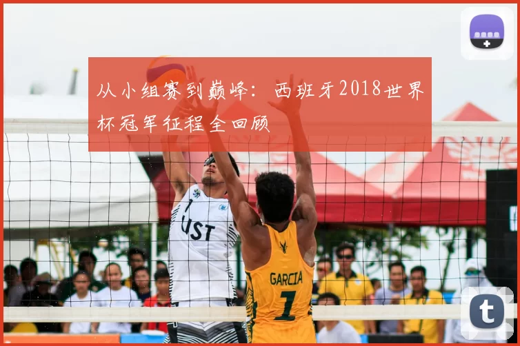 从小组赛到巅峰：西班牙2018世界杯冠军征程全回顾