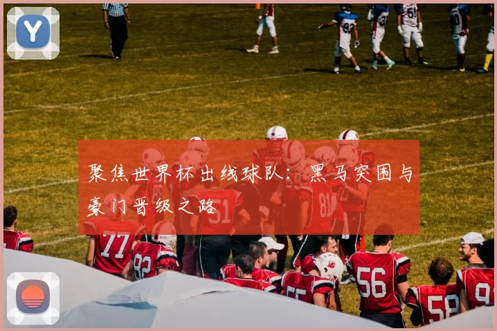 聚焦世界杯出线球队:黑马突围与豪门晋级之路