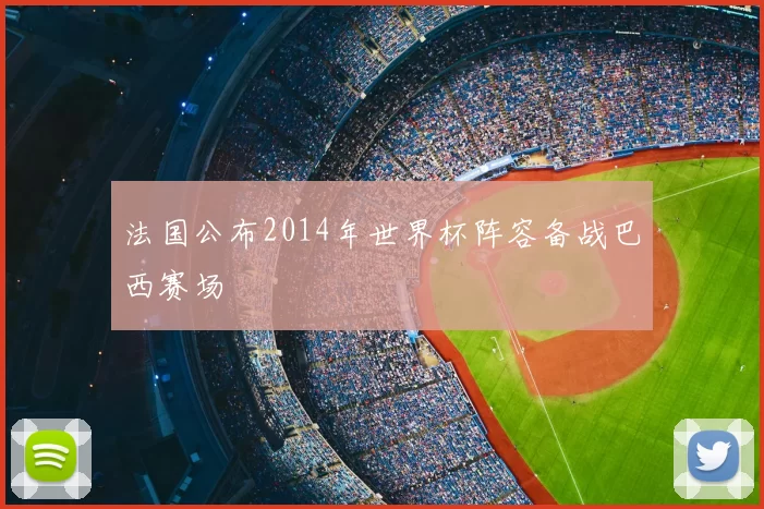 法国公布2014年世界杯阵容备战巴西赛场