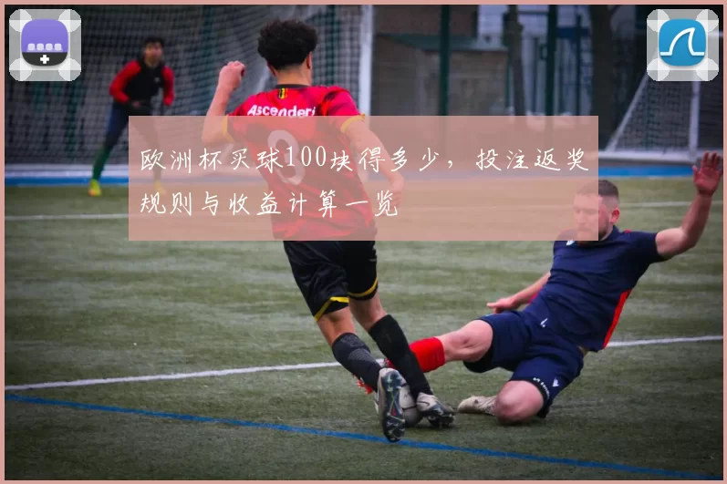 欧洲杯买球100块得多少,投注返奖规则与收益计算一览