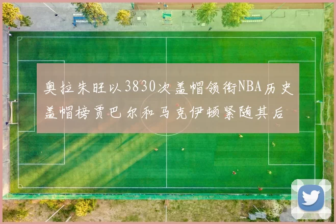 奥拉朱旺以3830次盖帽领衔NBA历史盖帽榜贾巴尔和马克伊顿紧随其后