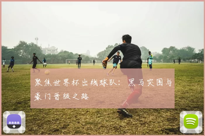 聚焦世界杯出线球队：黑马突围与豪门晋级之路