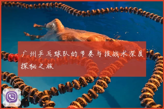 广州乒乓球队的节奏与技战术深度探秘之旅