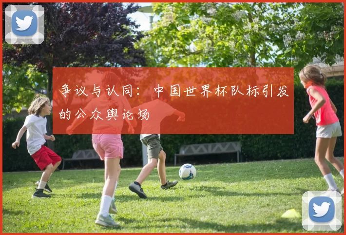 争议与认同:中国世界杯队标引发的公众舆论场