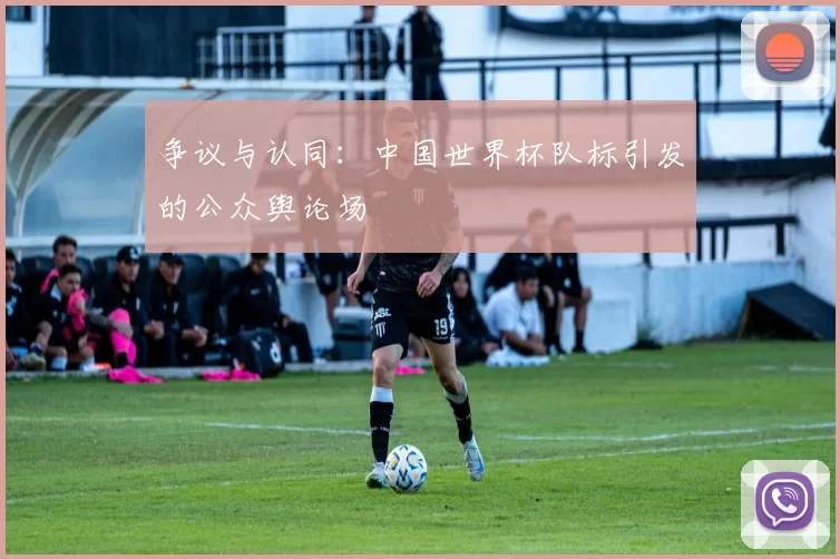争议与认同:中国世界杯队标引发的公众舆论场